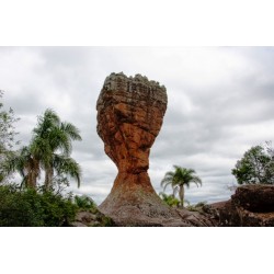 Parque Vila Velha reabre com novas atrações para os visitantes